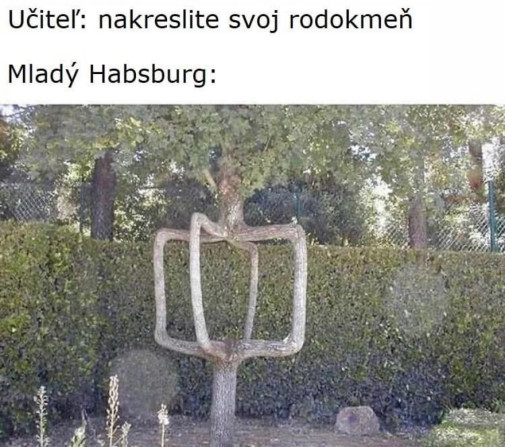 Rodokmen