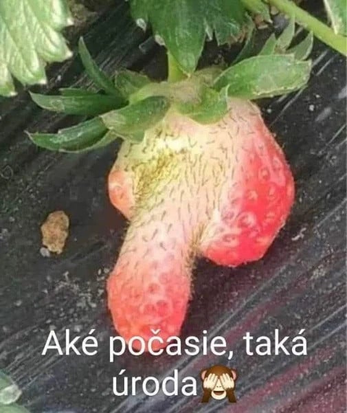 Jahôdka